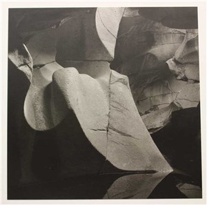 Then and Now: Fifty Years of Camera Vision